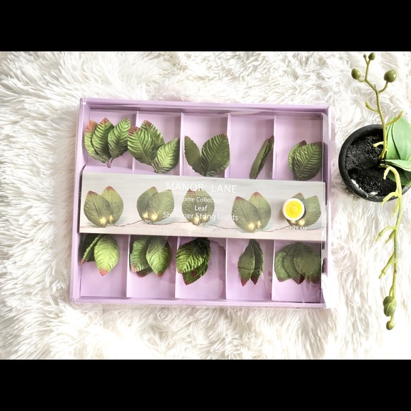 🆕New with tag LEAF STRING LIGHTS 30 lights 10ft - Picture 2 of 7